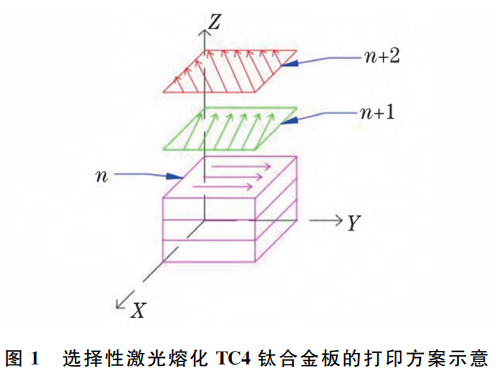 热处置温度对SLM成形TC4钛合金板各向异性组织与机能的影响：：顶面/侧面显微结构演化与硬度变动法规