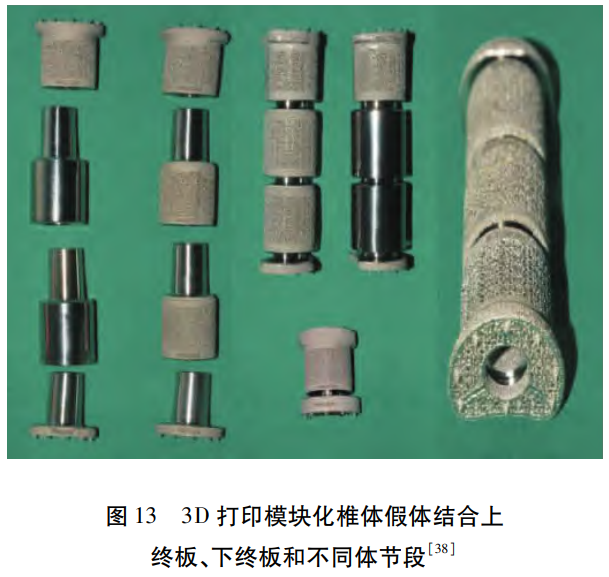 增材制作赋能生物医学钛合金创新：：从β不变元素掺杂、、职能梯度资料构建及多孔结构设计的优化，，，到SLM/LDED工艺适配，，，再到耐磨/齿科植入物的落地——全方位解析技术-机能-利用的协同机制与发展趋向